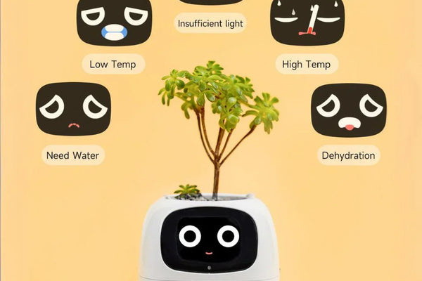 Plantsio Ivy Smart Planter