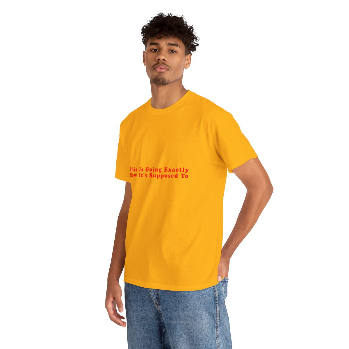 This Is Going Exactly How It’s Supposed To – Statement T-Shirt by Electrik Land