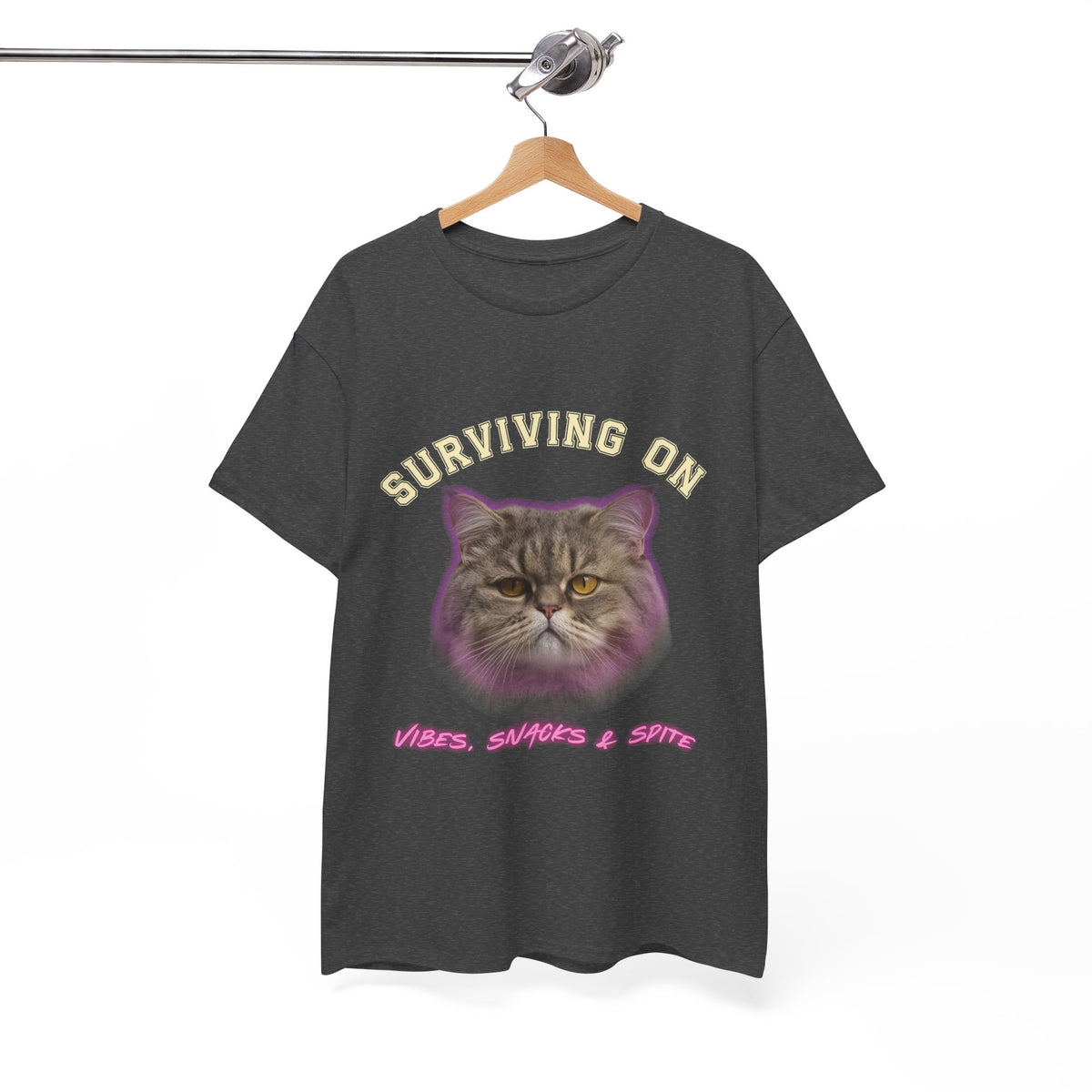 Surviving On Vibes Snacks & Spite |  T-Shirt by Electrik Land