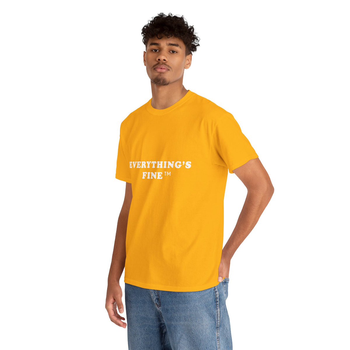 Everything’s Fine T-Shirt for High-Functioning Meltdowns by Electrik Land.