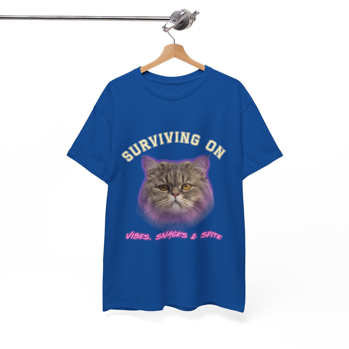Surviving On Vibes Snacks & Spite |  T-Shirt by Electrik Land