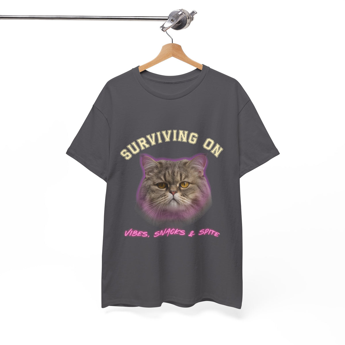 Surviving On Vibes Snacks & Spite |  T-Shirt by Electrik Land