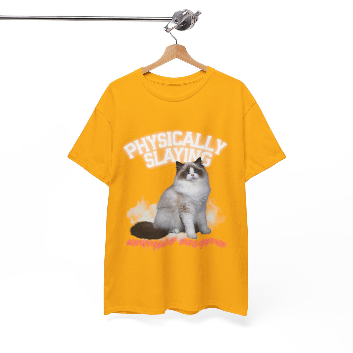 Physically Slaying Mentally Decaying Cat Tee by Electrik Land